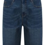 Sianna Stretch Cotton Slim Fit Denim Shorts in Indigo Wash