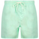 Evander 2 Microfibre Twill Swim Shorts with Mesh Lining in Bay Green