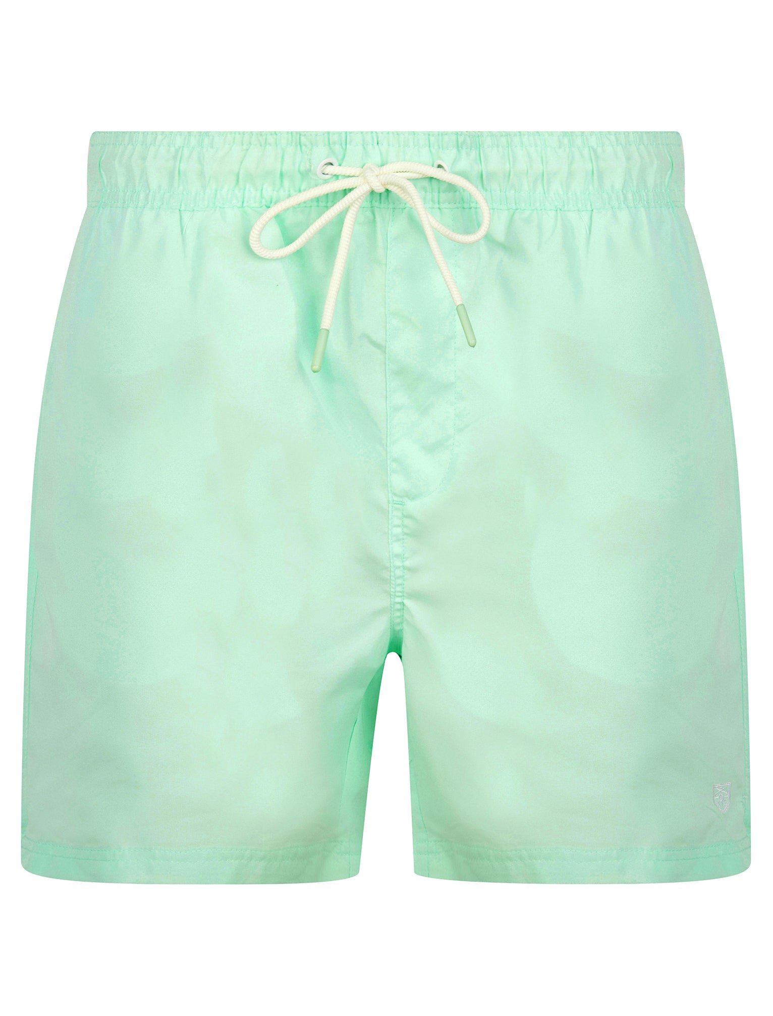 Evander 2 Microfibre Twill Swim Shorts with Mesh Lining in Bay Green