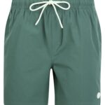 Byers Seersucker Stripe Microfibre Swim Shorts with Mesh Lining in Laurel Wreath
