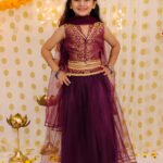Fast Wear Sleeveless Jacquard Collared Choli With Net Lehenga Set For Girls