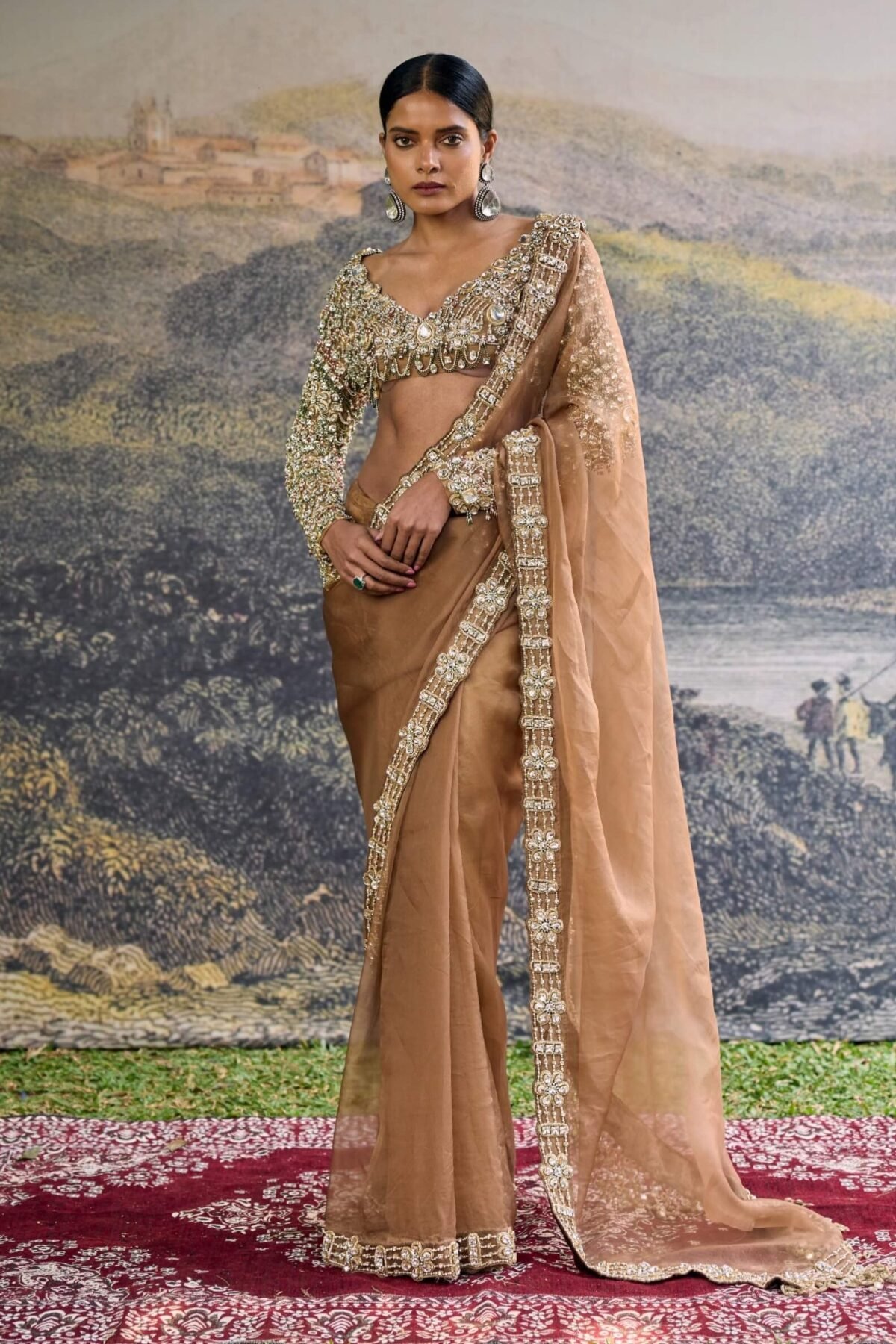 Varnika brown sari and blouse