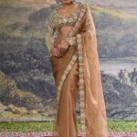 Varnika brown sari and blouse