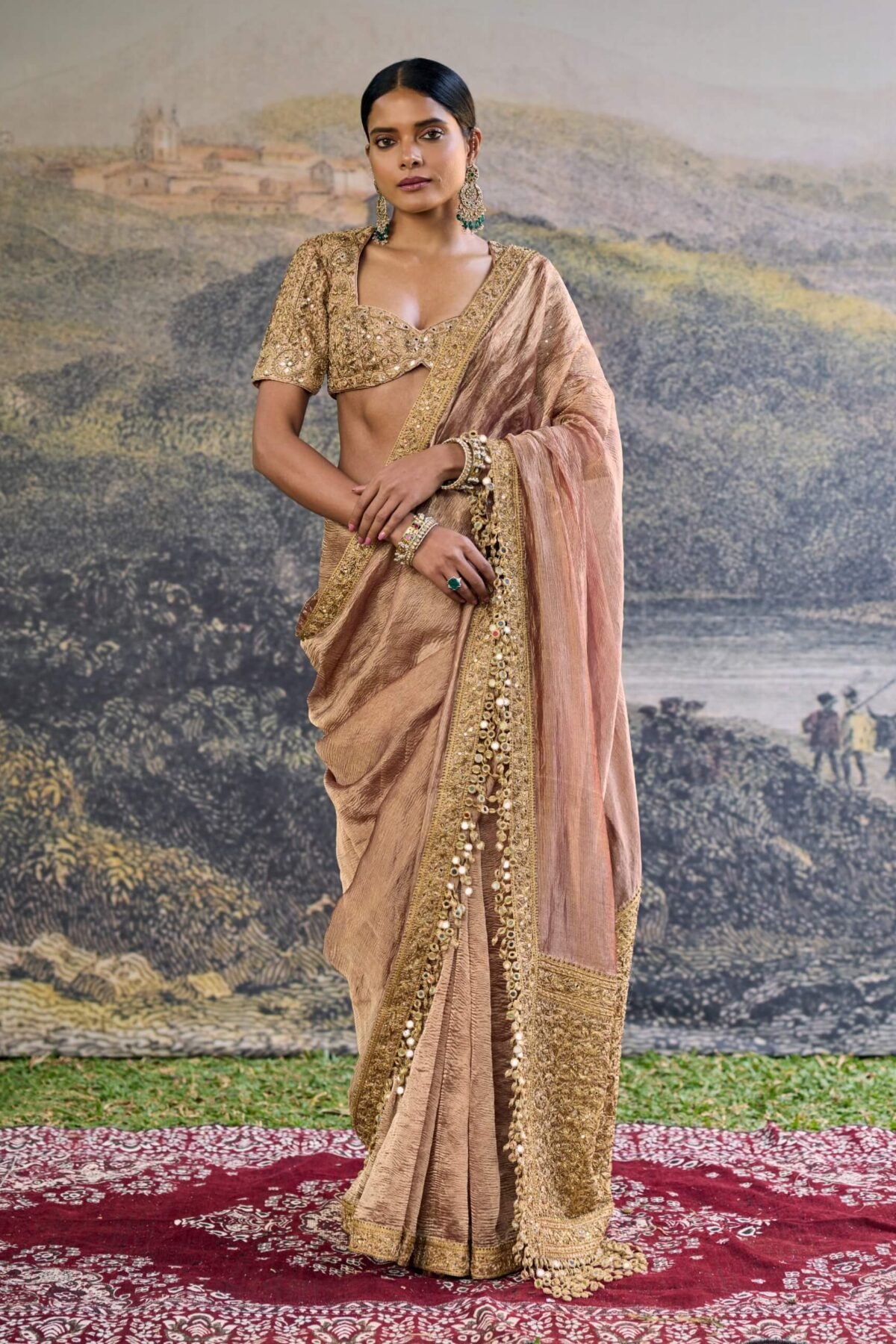 Trinaya brown sari and blouse