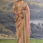 Trinaya brown sari and blouse