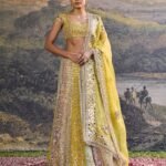 Rang mahal multicolour mirror lehenga set