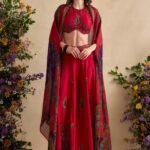 Aneeka crimson pink sharara set