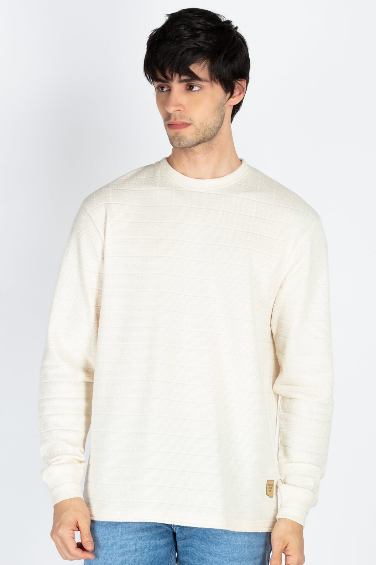 Mens Solid Round Neck Full Sleeve T-Shirt