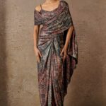 Otherworldly Printed Concept Saree