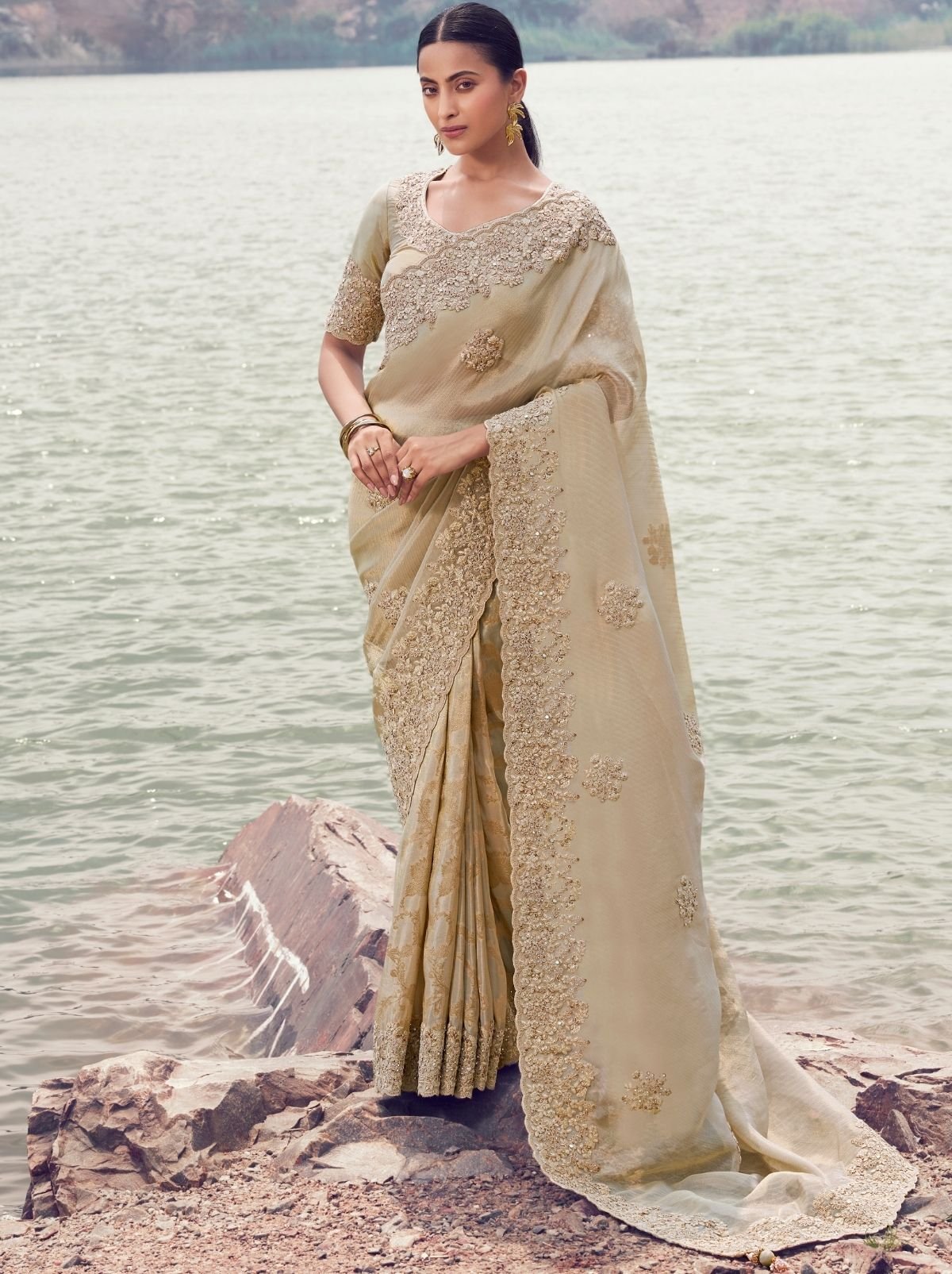 Parchment Beige Premium Tissue Silk Saree With Blouse Piece