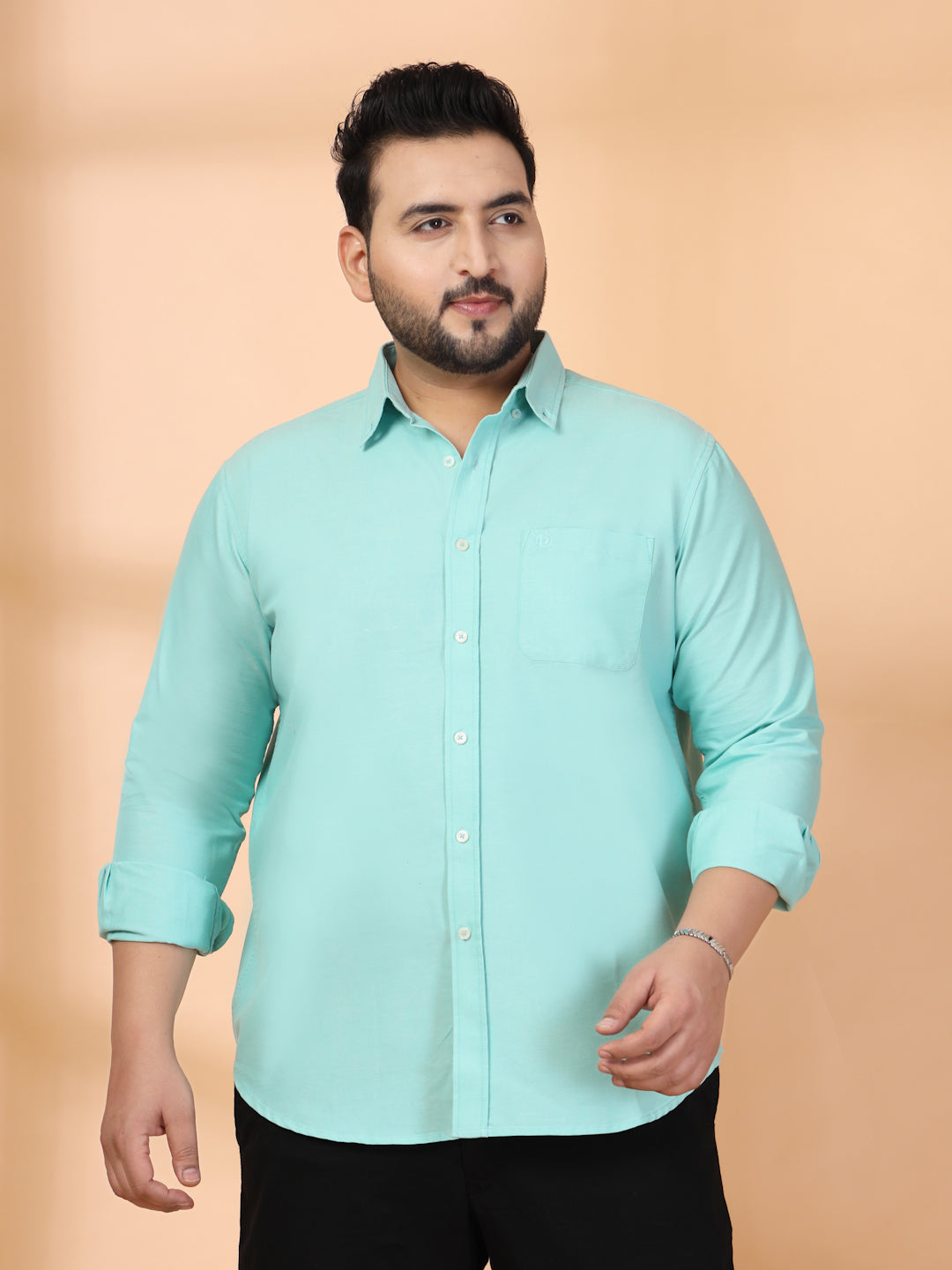 Plus Size Men Classic Casual Shirt