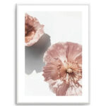 Abstract Poppies II Art Print