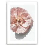 Abstract Poppies III Art Print