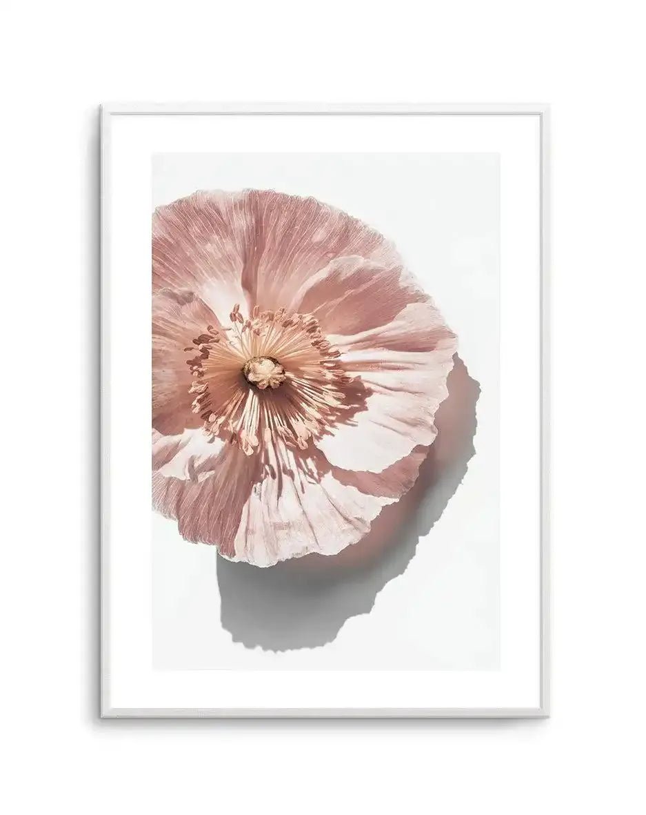 Abstract Poppies III Art Print