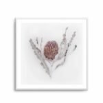 Banksia II | Art Print