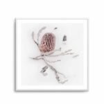 Banksia III | Art Print