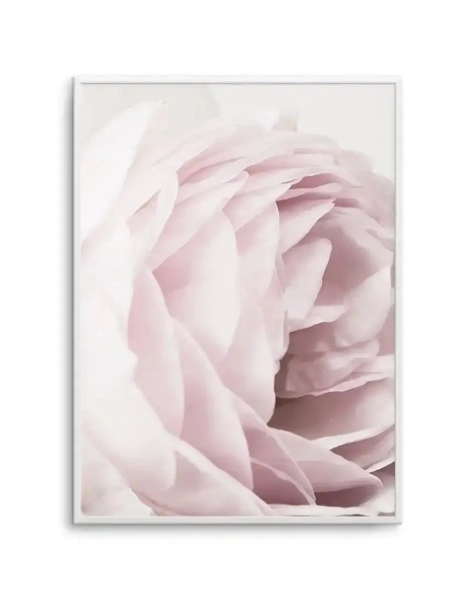 Heritage Rose Art Print