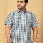 Plus Size Men Opaque Checked Casual Shirt