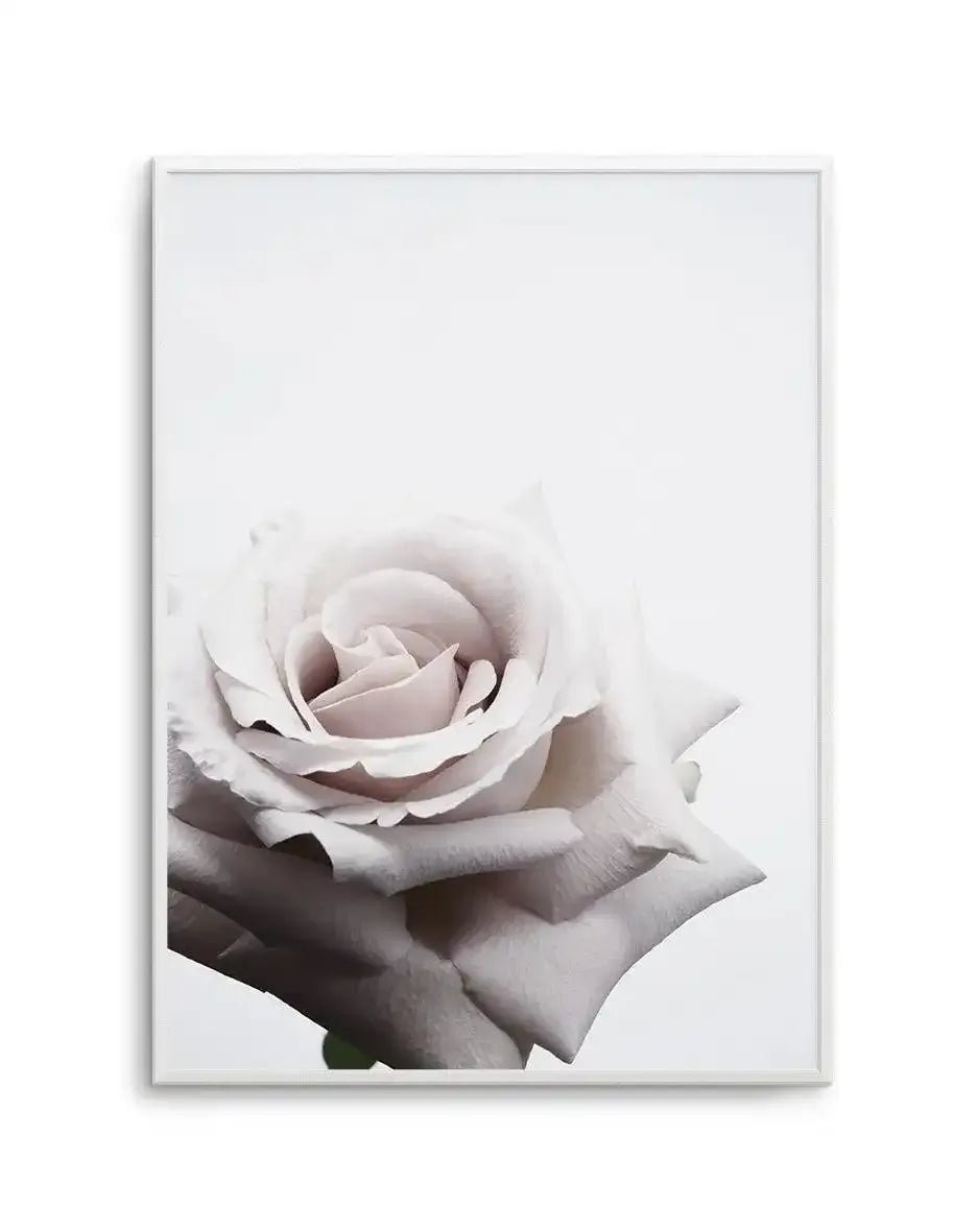 Oscar Rose Art Print