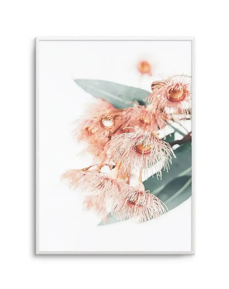Pink Eucalyptus Art Print