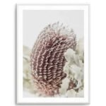 Banksia I Art Print