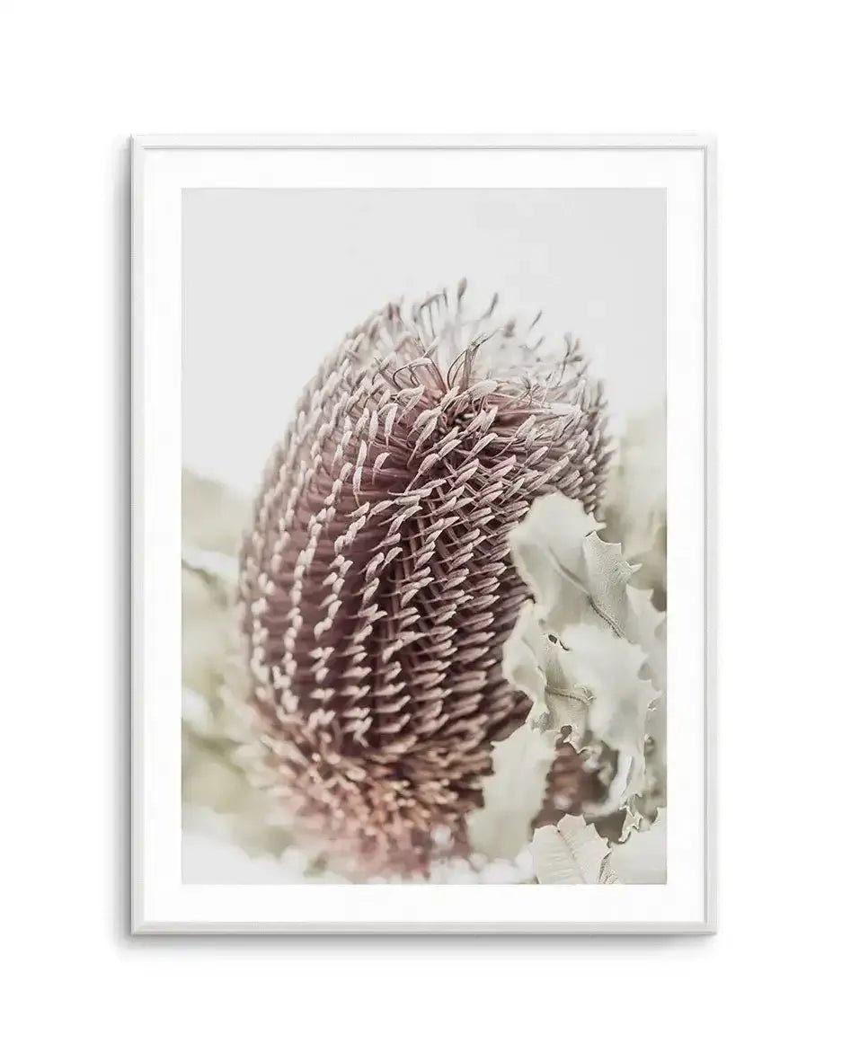 Banksia I Art Print