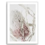 Banksia II Art Print