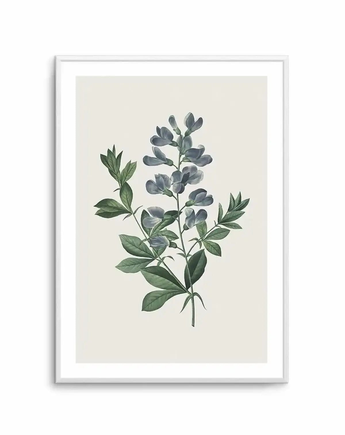 Botanica I Art Print
