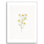 Daisies on Linen I Art Print