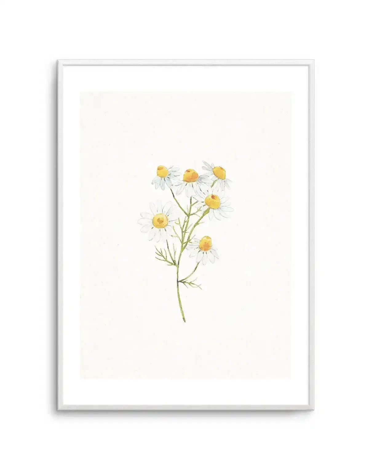 Daisies on Linen I Art Print
