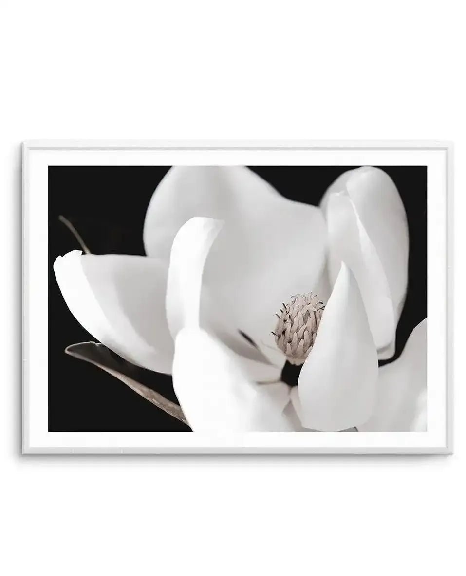 Dark Magnolia I | LS Art Print