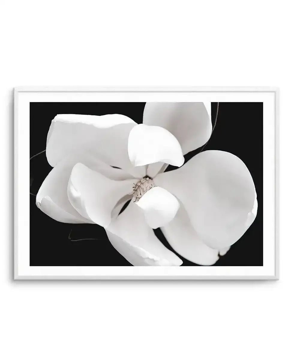 Dark Magnolia II | LS Art Print