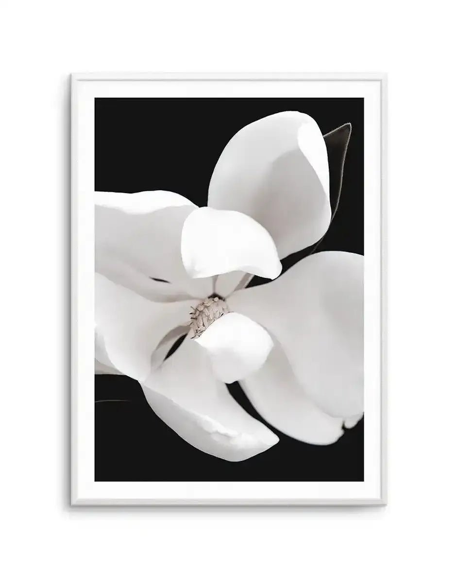 Dark Magnolia II | PT Art Print