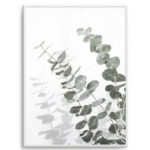 Eucalyptus IV Art Print