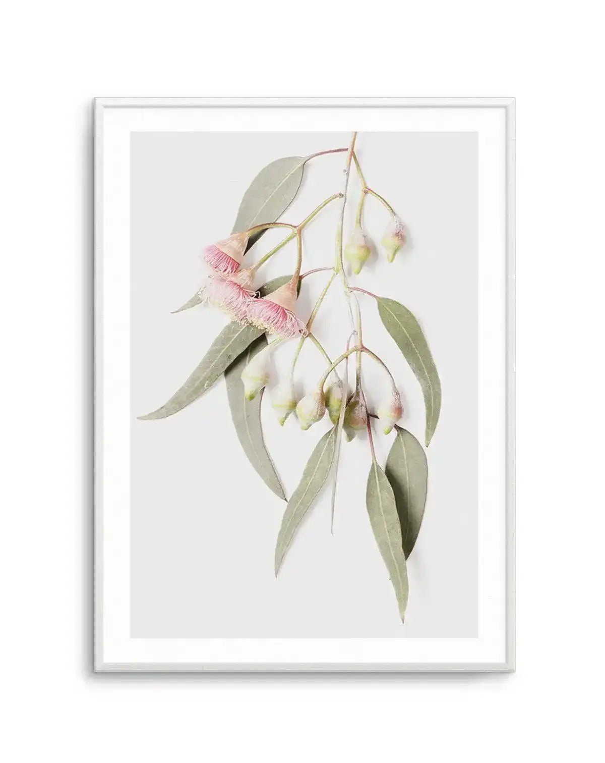 Eucalyptus on Grey Art Print