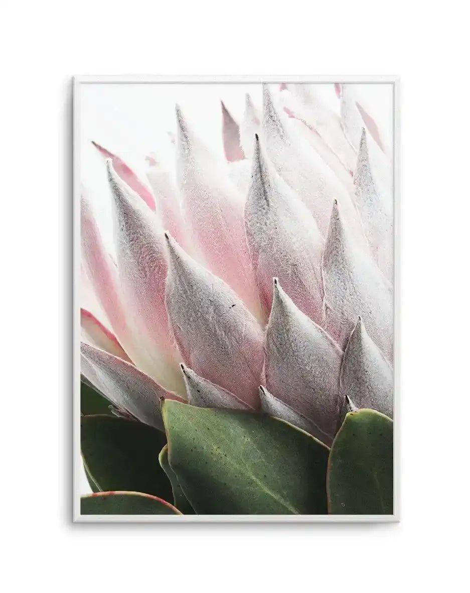 Her Crown Art Print