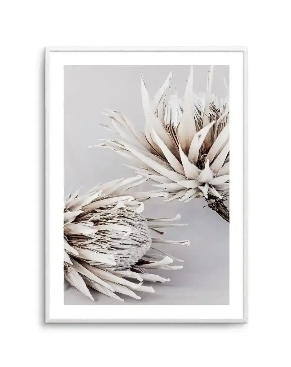 Iced Protea I Art Print