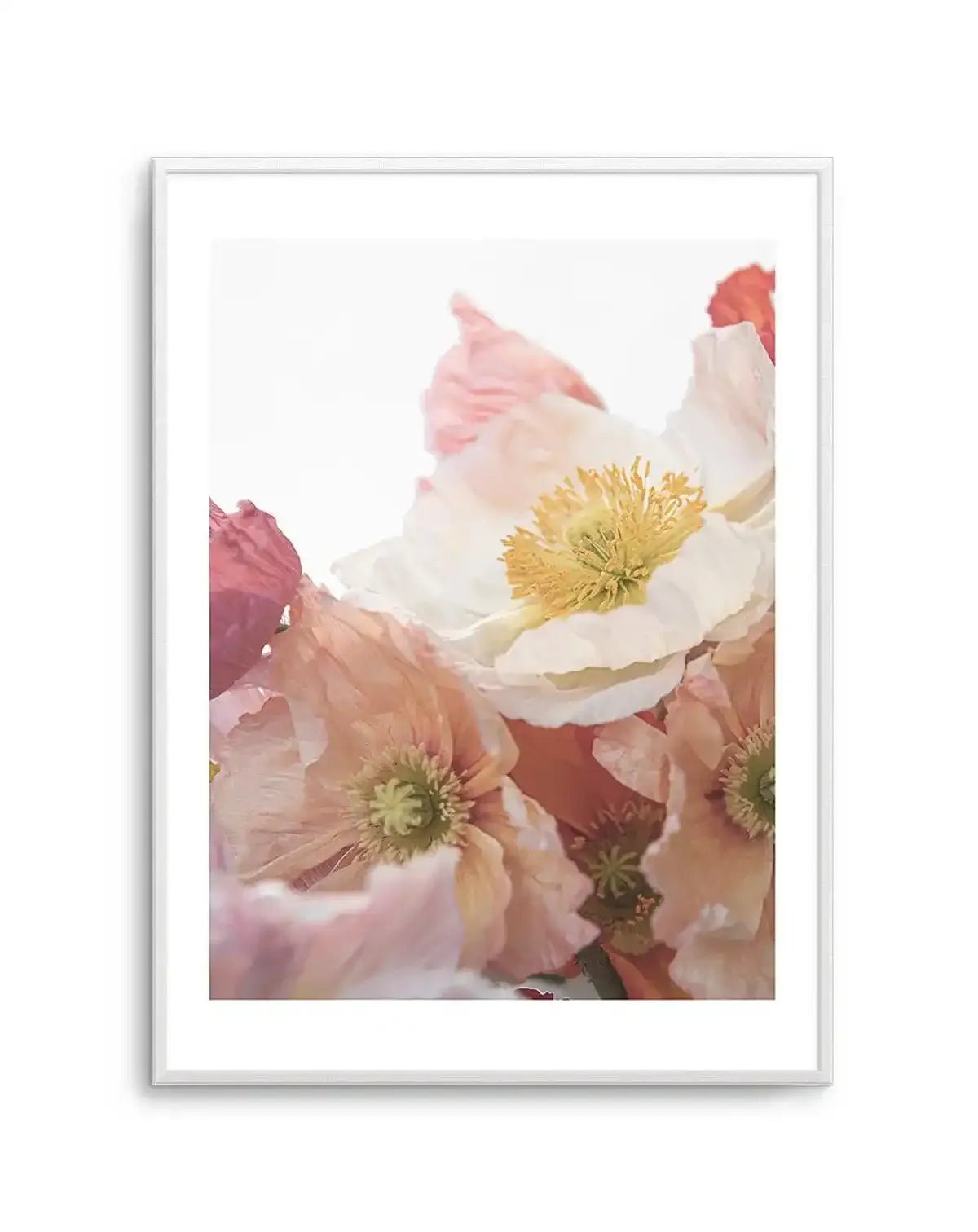 Luxe Poppy I Art Print