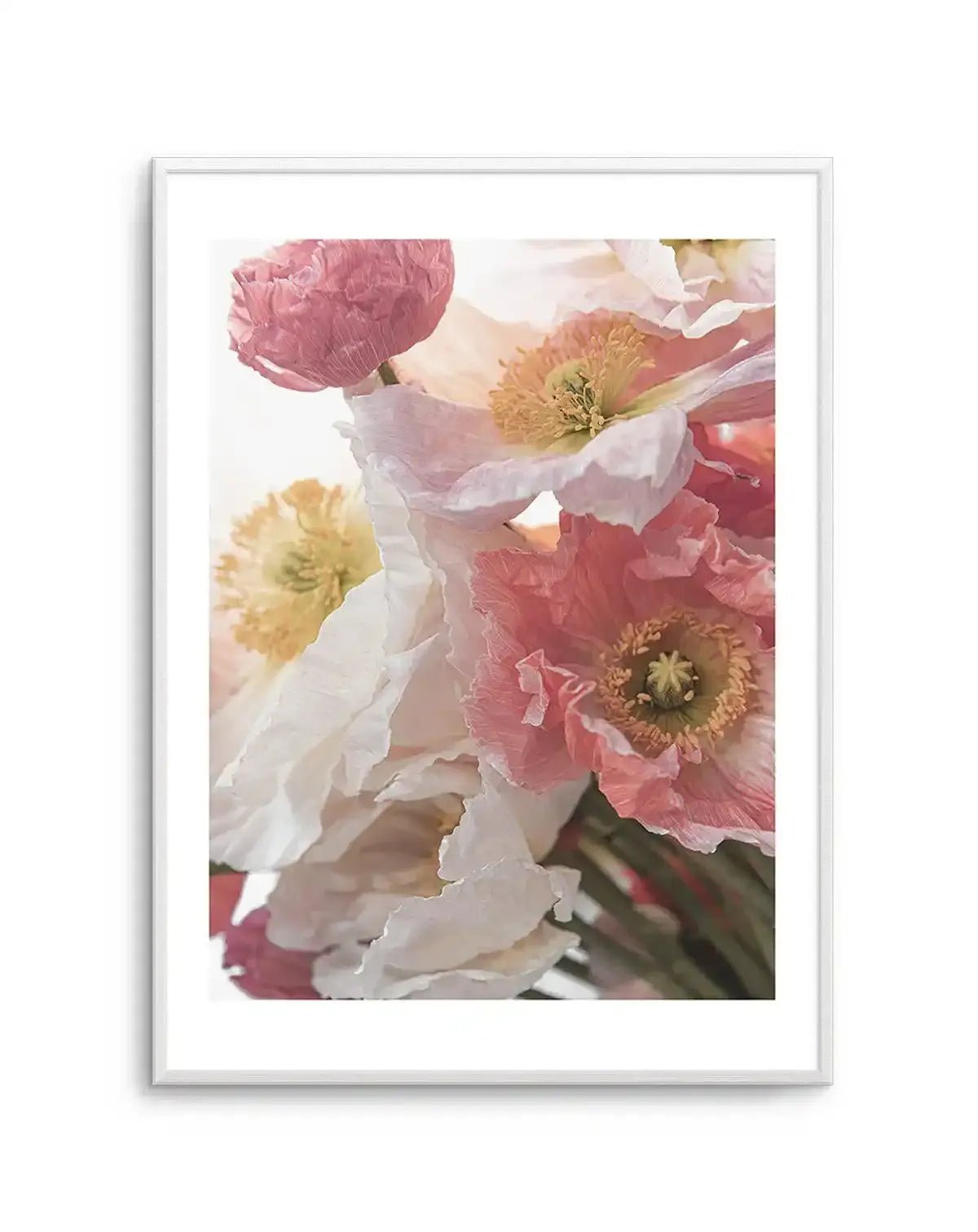 Luxe Poppy II Art Print