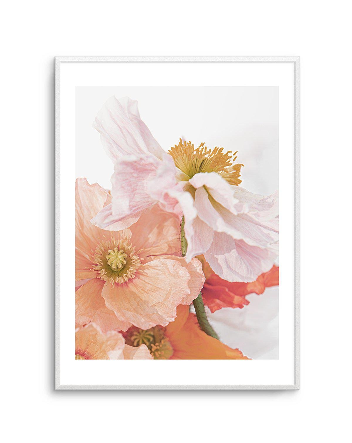 Luxe Poppy III Art Print