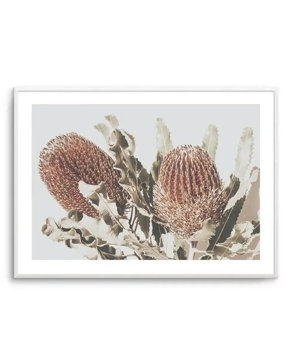 Native Banksia | LS Art Print