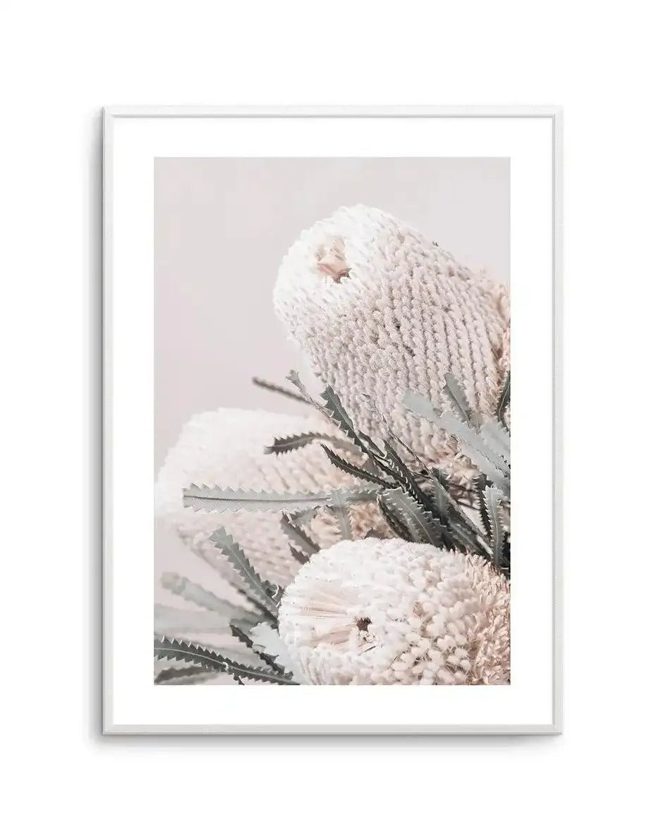 Nude Banksia I Art Print