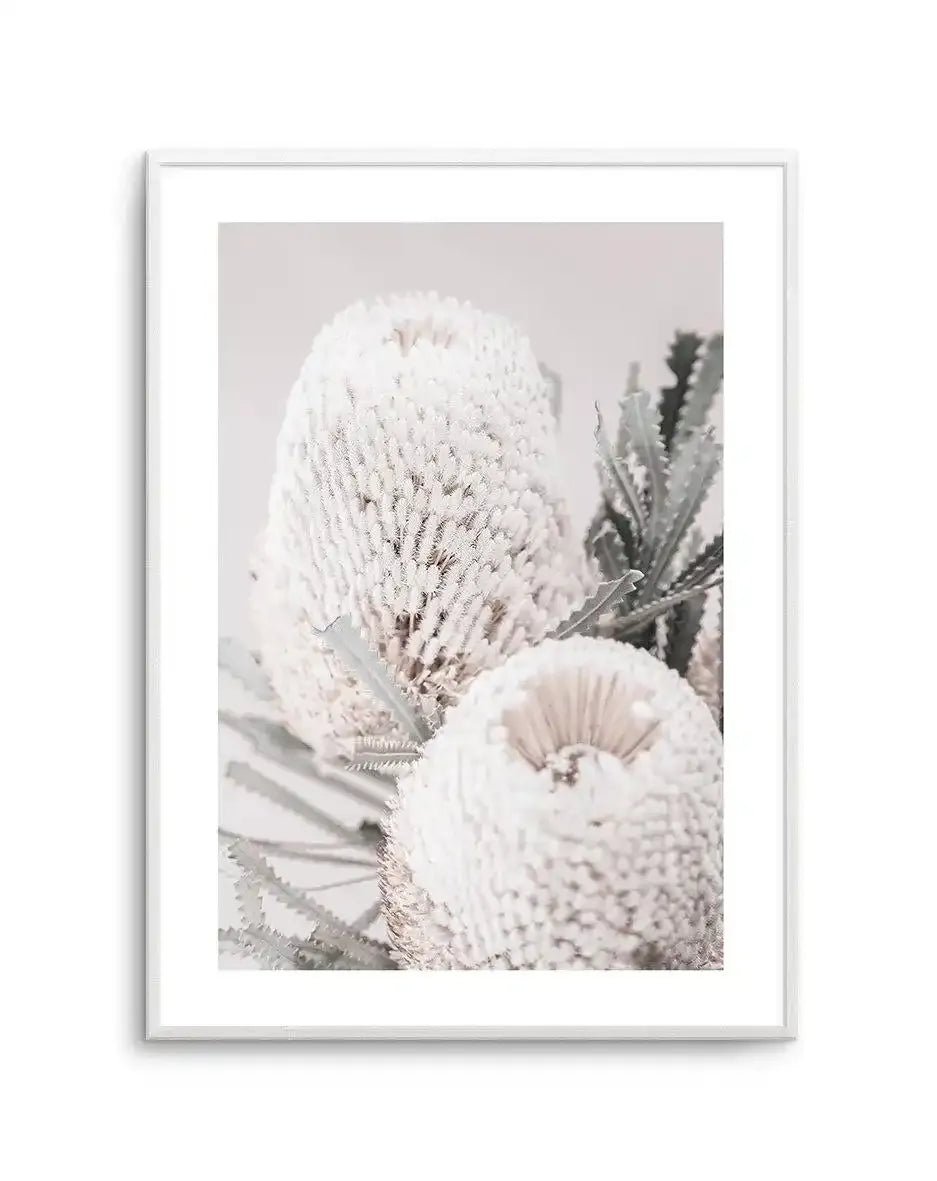 Nude Banksia II Art Print