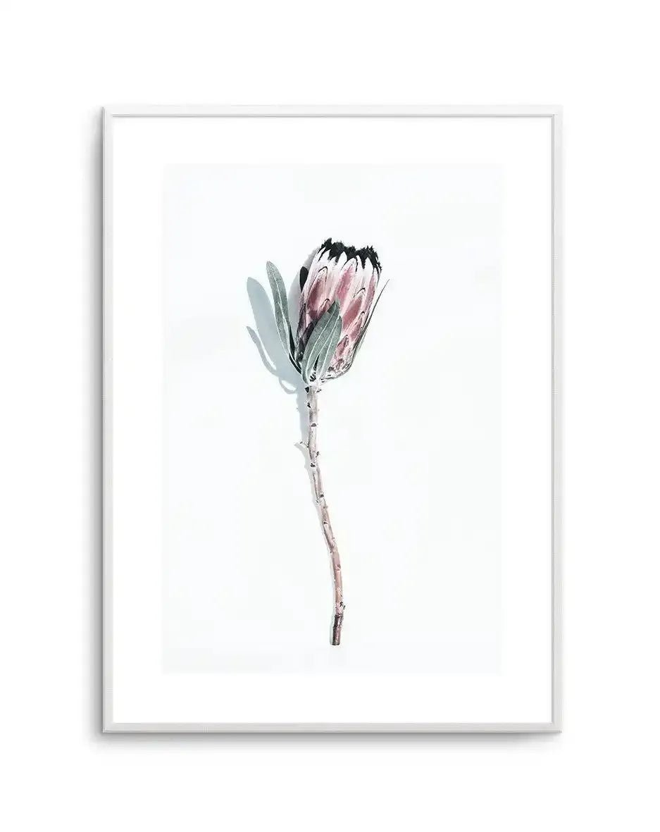 One Of A Kind Art Print