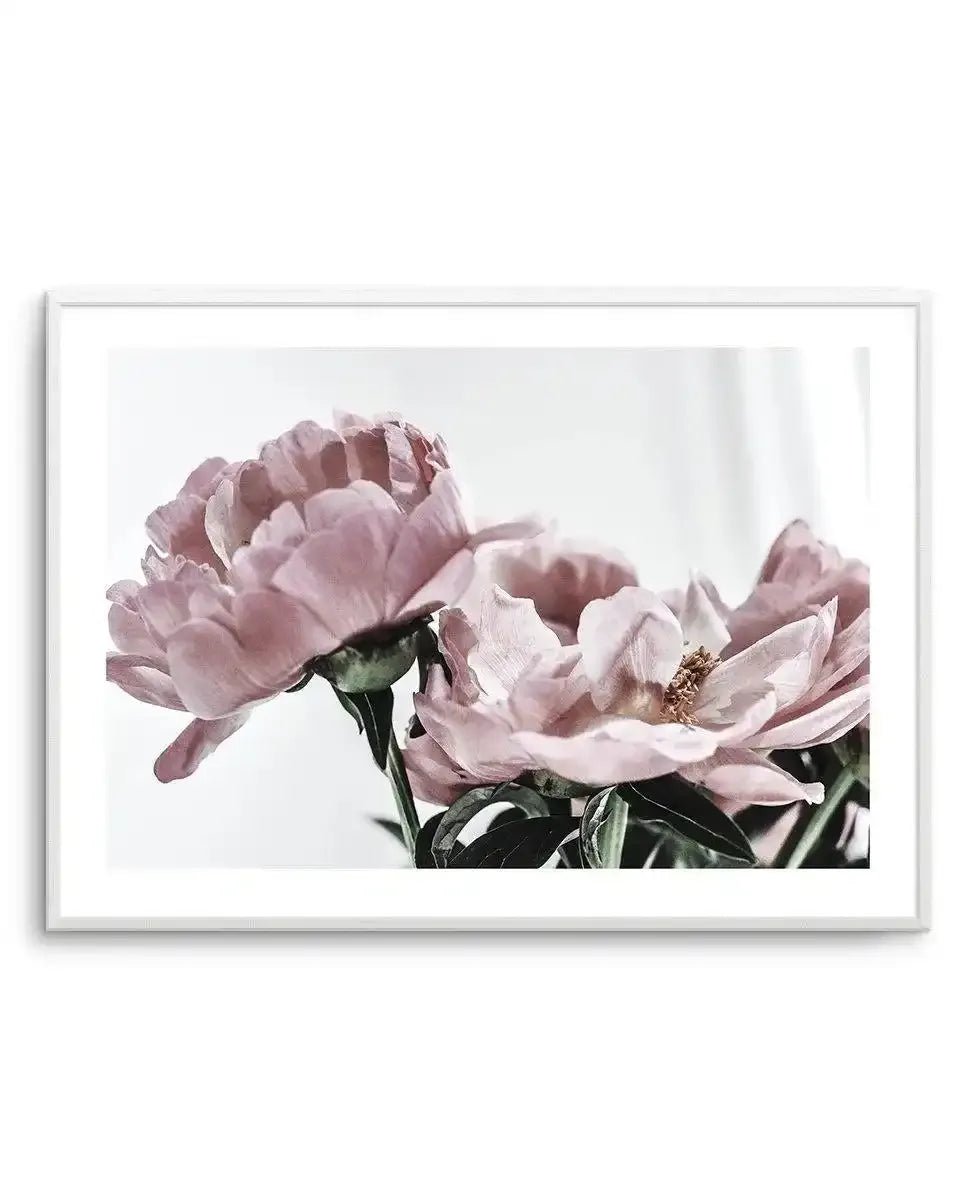 Peonies | LS Art Print
