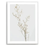 Petite Fleur Art Print