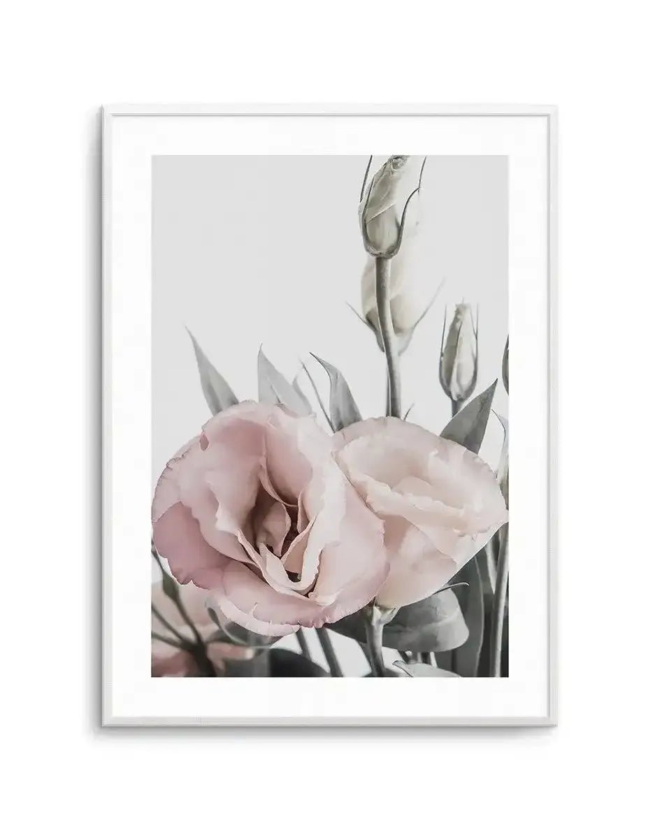 Pink Lisianthus I Art Print