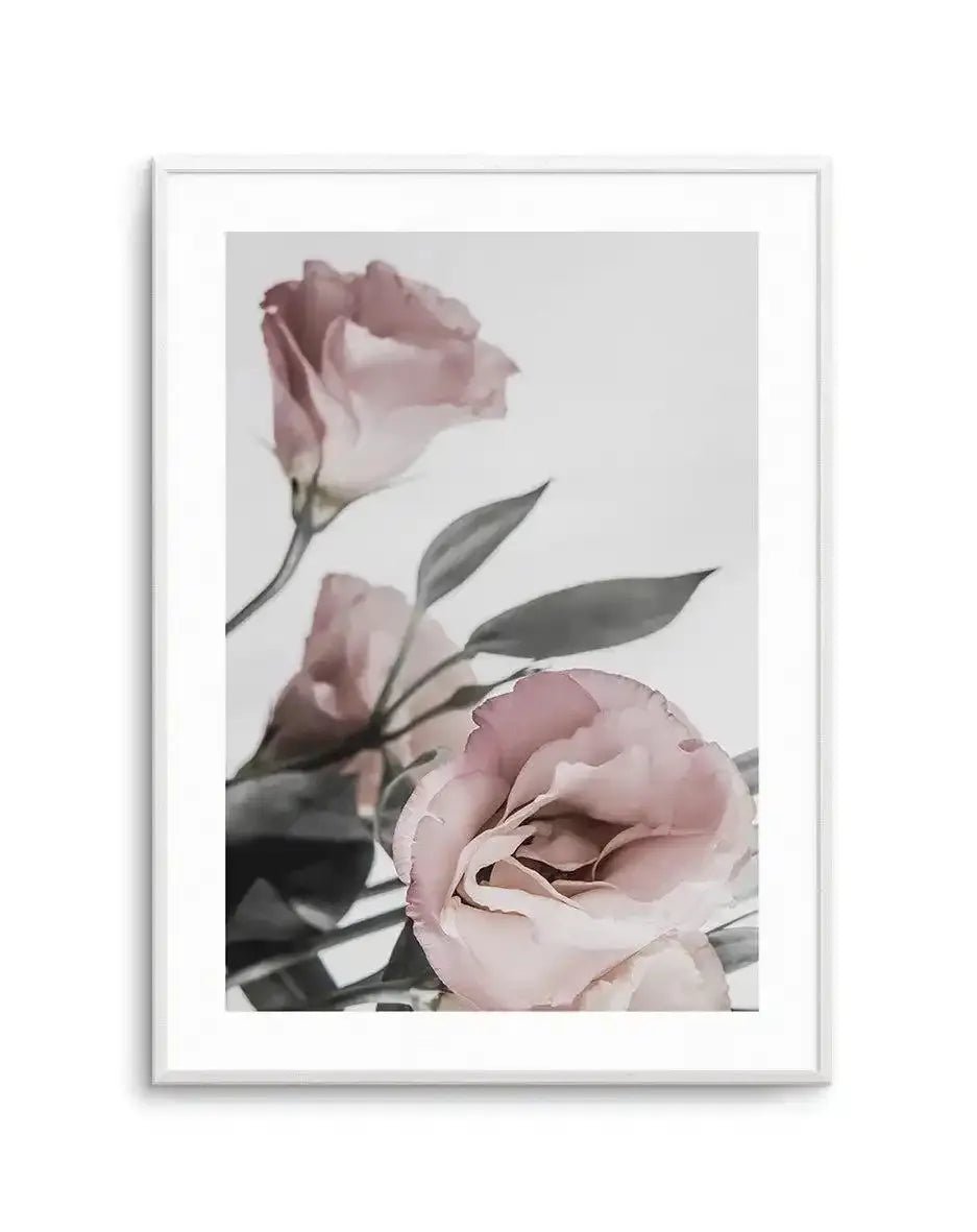 Pink Lisianthus II Art Print