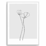 Poppy | Illustration Art Print