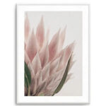 Protea in Overture IV Art Print